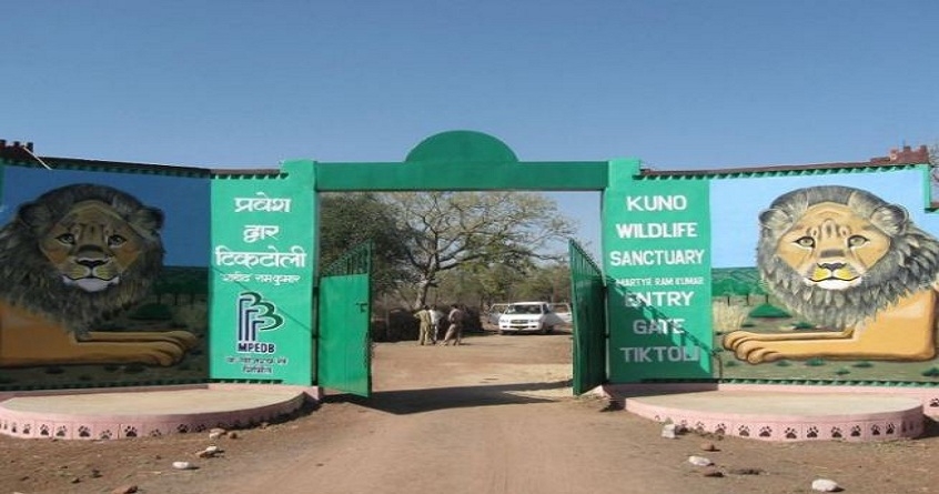 Kuno National Park