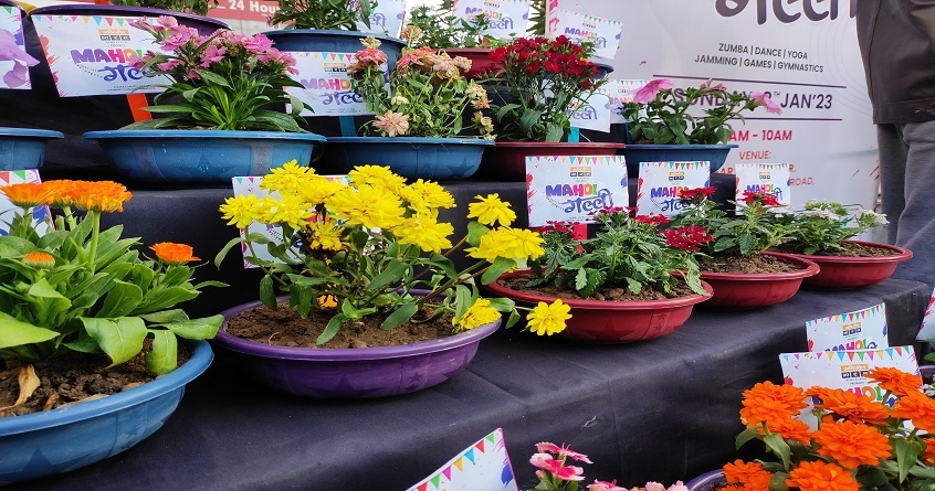 Abhijeet Bharat Mahol Gully creates Mahol at Nagpur