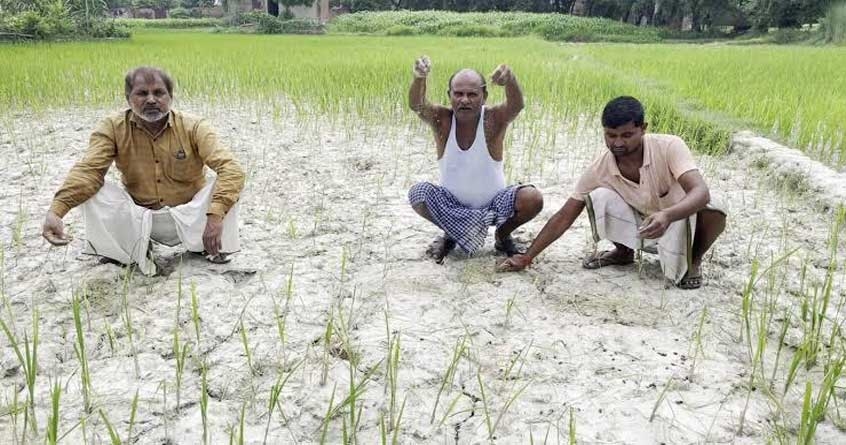 Drought like situation declared in Akola district