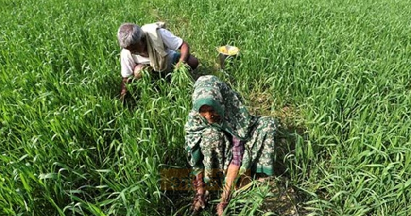 crop-insurance-payout-yavatmal-farmers - 