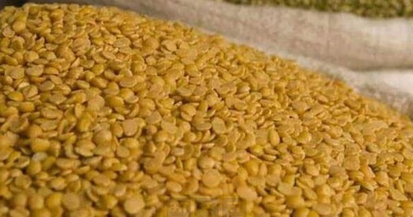 tur-crop-price-drop-yavatmal - Abhijeet Bharat