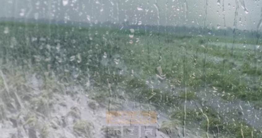 unseasonal-rain-agriculture-crisis-yavatmal - Abhijeet Bharat