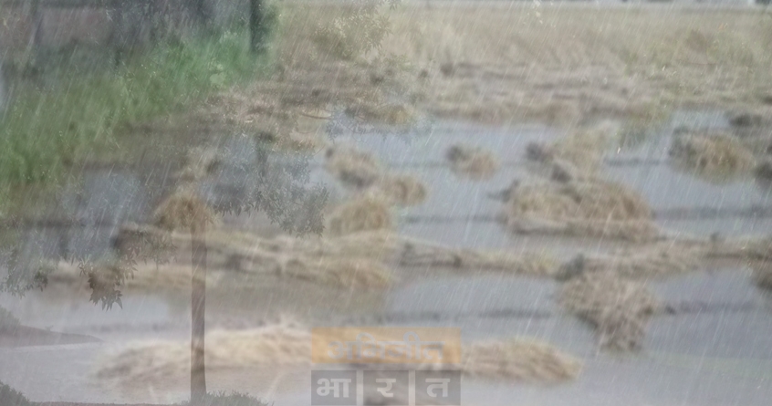 unseasonal-rain-impacts-farmers-bhandara - Abhijeet Bharat