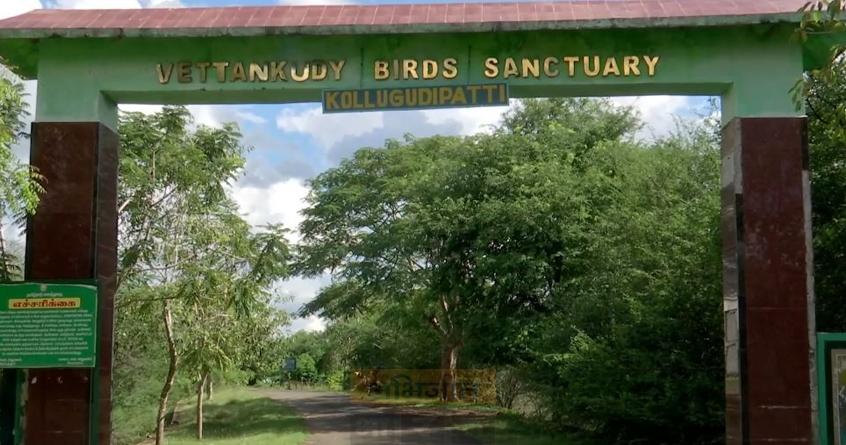A village in Tamil Nadu that prefers to celebrate Diwali without crackers for the safety of migratory birds - Abhijeet Bharat
