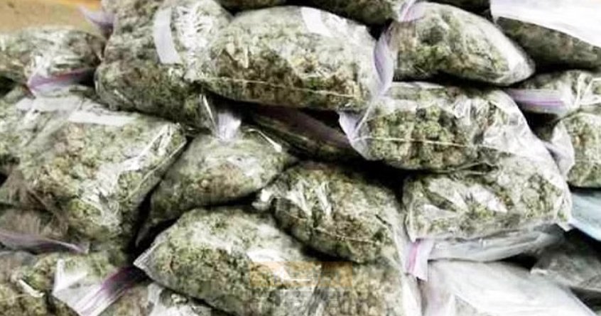 buldhana-drug-bust-marathwada-connection - Abhijeet Bharat