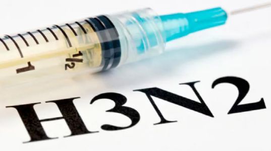 H3N2 से दो मौतें; राज्यों को अलर्ट की सलाह और अंतर-मंत्रालयी बैठक का होगा आयोजन