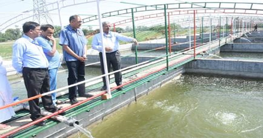  special officer of fisheries department dr abhilaksh likhi interacted with fish farmers - Abhijeet Bharat