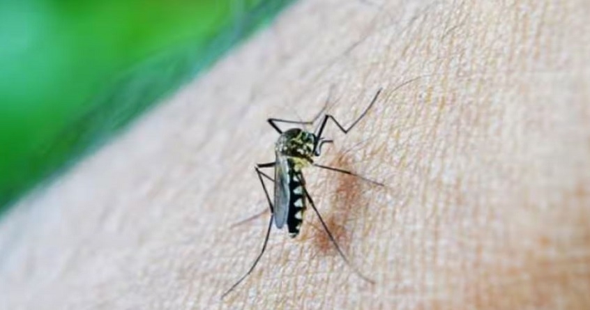 In Nagpur dengue update Two suspected patients died - Abhijeet Bharat