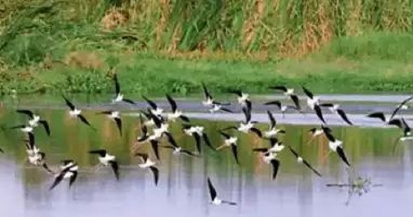 These 3 Indian cities nominated for International Wetland City tag - Abhijeet bharat