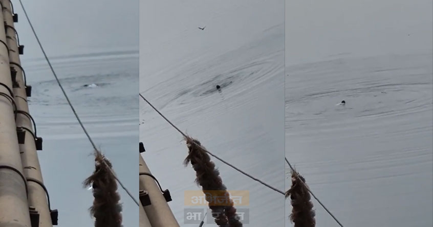 Youth commits suicide by jumping into Wainganga river