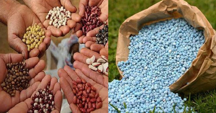 what precautions should be taken while purchasing seeds and fertilizers 