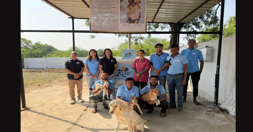 first pet cremation center