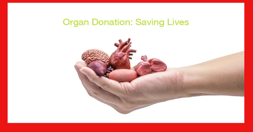 Organ transplant
