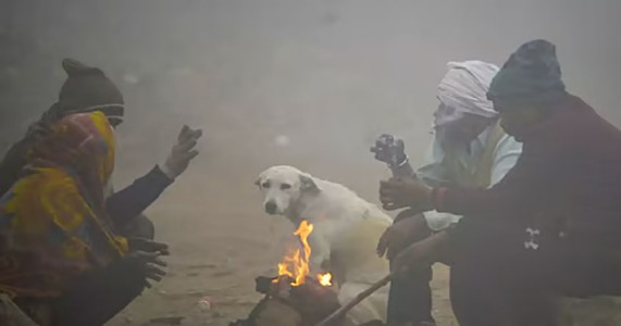 विदर्भ में सर्दी का असर तेज, नागपुर में पारा 8.6 डिग्री तक लुढ़का