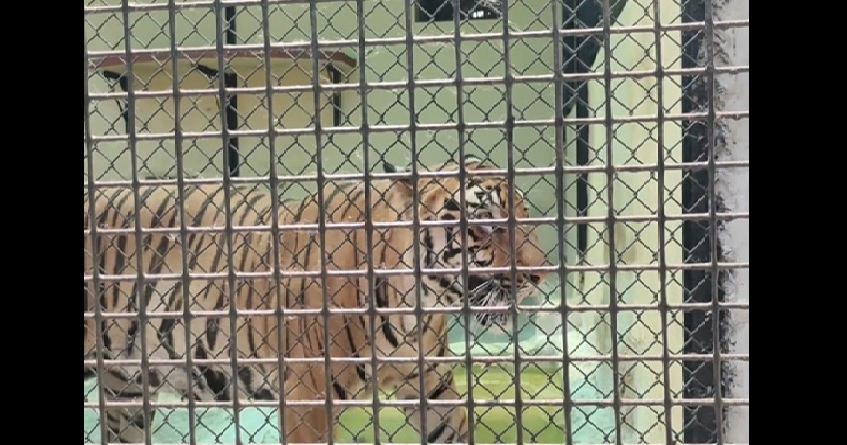 Alipur Zoo