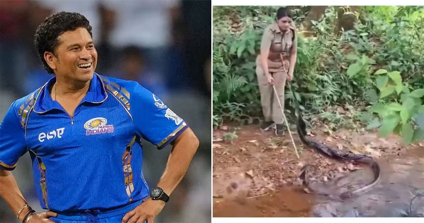 Woman forest officer caught king cobra