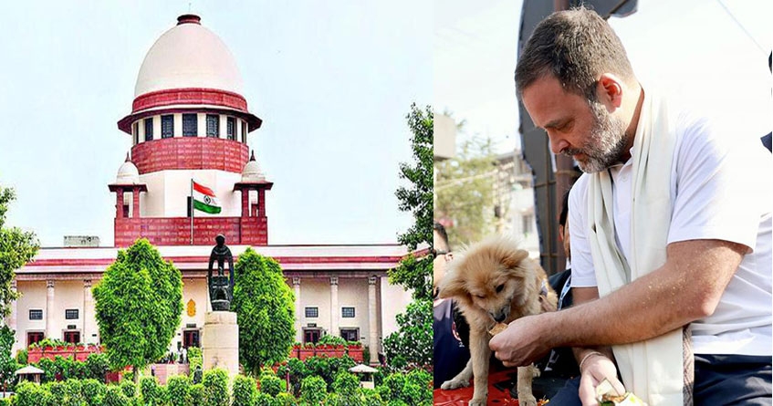 Rahul Gandhi Supreme Court