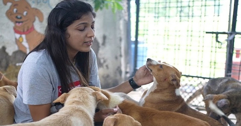 NMC animal birth control program