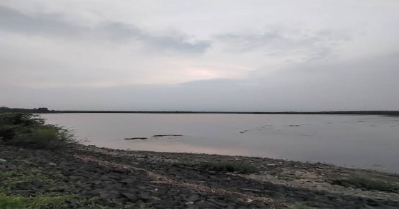 गोरवाड़ा झील में सीवेज मिलने के दावे खारिज!