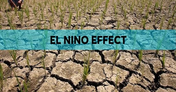 Impact of El Niño : महाराष्ट्र में इस साल कम बारिश के संकेत, जून में बढ़ सकती है गर्मी
