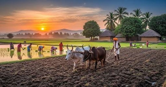 किसानों को बड़ी राहत: 7.5 एचपी तक के कृषि बिजली कनेक्शन के 48 हजार करोड़ रूपये बकाया बिल माफ
